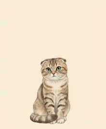 AI-Scottish Fold 794 scottish fold cat