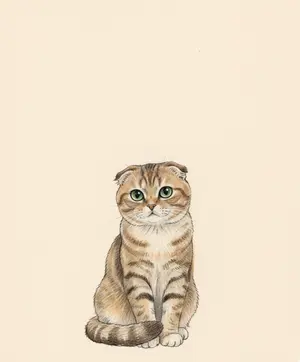 AI-Scottish Fold 794 cat